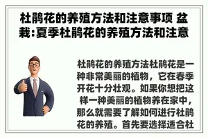 杜鹃花的养殖方法和注意事项 盆栽:夏季杜鹃花的养殖方法和注意事项
