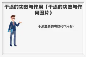 干漆的功效与作用（干漆的功效与作用图片）