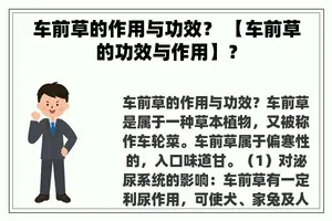 车前草的作用与功效？ 【车前草的功效与作用】？