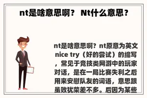 nt是啥意思啊？ Nt什么意思？