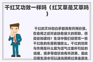干红艾功效一样吗（红艾草是艾草吗）