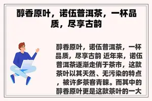 醇香原叶，诺伍普洱茶，一杯品质，尽享古韵