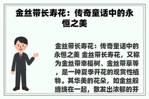 金丝带长寿花：传奇童话中的永恒之美