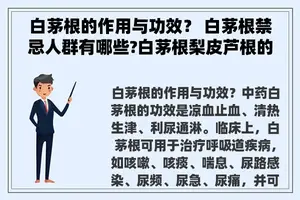 白茅根的作用与功效？ 白茅根禁忌人群有哪些?白茅根梨皮芦根的作用？