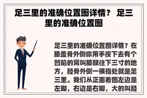 足三里的准确位置图详情？ 足三里的准确位置图