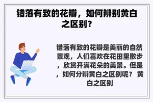 错落有致的花瓣，如何辨别黄白之区别？