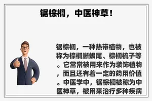 锯棕榈，中医神草！