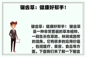 锯齿草：健康好帮手！
