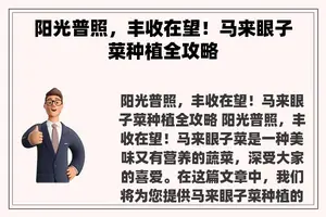阳光普照，丰收在望！马来眼子菜种植全攻略