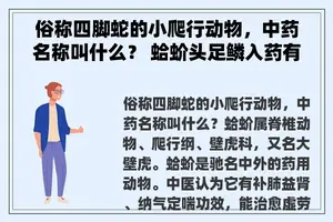 俗称四脚蛇的小爬行动物，中药名称叫什么？ 蛤蚧头足鳞入药有何副作用？
