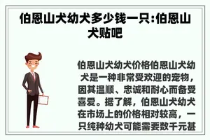 伯恩山犬幼犬多少钱一只:伯恩山犬贴吧 伯恩山犬幼犬多少钱一只:伯恩山犬贴吧