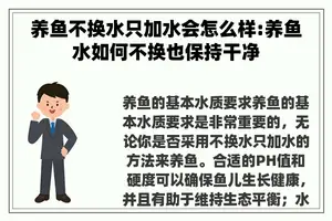 养鱼不换水只加水会怎么样:养鱼水如何不换也保持干净