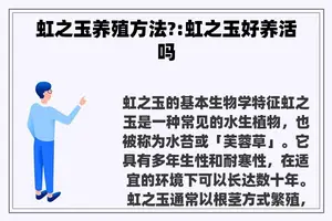 虹之玉养殖方法?:虹之玉好养活吗