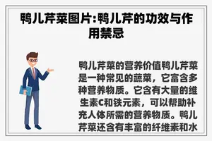 鸭儿芹菜图片:鸭儿芹的功效与作用禁忌