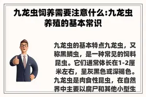 九龙虫饲养需要注意什么:九龙虫养殖的基本常识