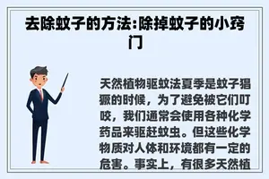 去除蚊子的方法:除掉蚊子的小窍门