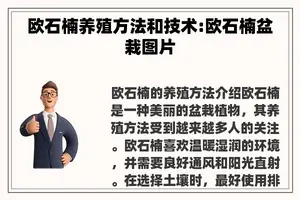 欧石楠养殖方法和技术:欧石楠盆栽图片