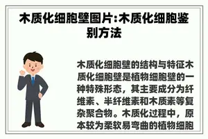 木质化细胞壁图片:木质化细胞鉴别方法