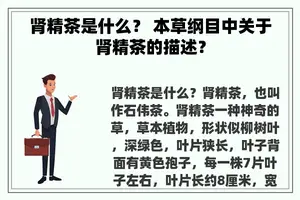 肾精茶是什么？ 本草纲目中关于肾精茶的描述？
