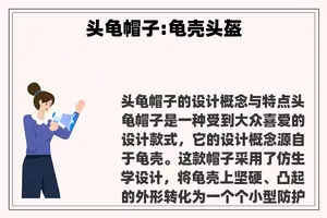 头龟帽子:龟壳头盔
