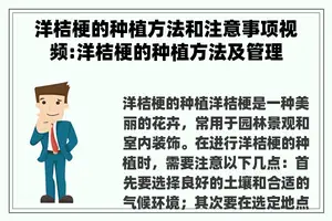 洋桔梗的种植方法和注意事项视频:洋桔梗的种植方法及管理