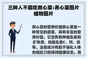 三种人不能吃救心菜:养心菜图片植物图片