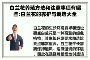 白兰花养殖方法和注意事项有哪些:白兰花的养护与栽培大全