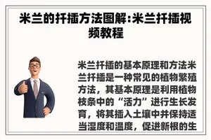 米兰的扦插方法图解:米兰扦插视频教程