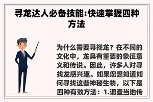 寻龙达人必备技能:快速掌握四种方法