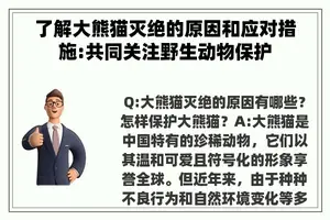 了解大熊猫灭绝的原因和应对措施:共同关注野生动物保护
