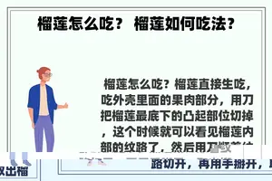 榴莲怎么吃？ 榴莲如何吃法？