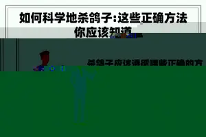 如何科学地杀鸽子:这些正确方法你应该知道
