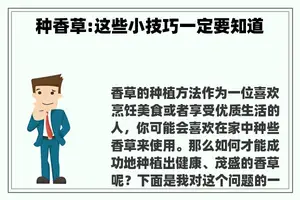种香草:这些小技巧一定要知道