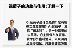 远荷子的功效与作用:了解一下