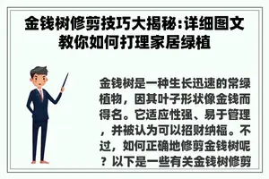 金钱树修剪技巧大揭秘:详细图文教你如何打理家居绿植