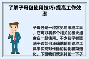 了解子母包使用技巧:提高工作效率