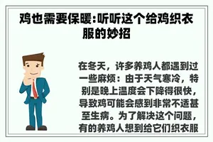 鸡也需要保暖:听听这个给鸡织衣服的妙招