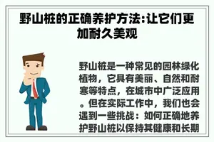 野山桩的正确养护方法:让它们更加耐久美观