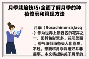 月季栽培技巧:全面了解月季的种植修剪和管理方法