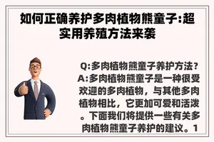 如何正确养护多肉植物熊童子:超实用养殖方法来袭