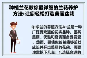 种植兰花教你最详细的兰花养护方法:让您轻松打造美丽盆栽