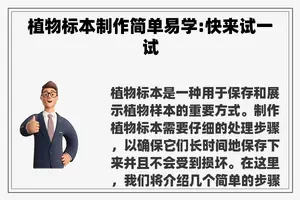 植物标本制作简单易学:快来试一试