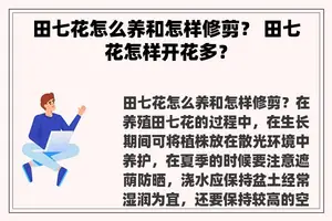 田七花怎么养和怎样修剪？ 田七花怎样开花多？