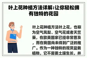 叶上花种植方法详解:让你轻松拥有独特的花园