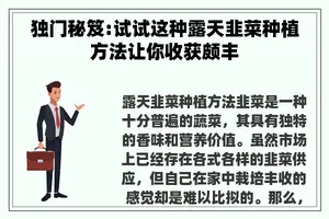 独门秘笈:试试这种露天韭菜种植方法让你收获颇丰