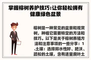 掌握榕树养护技巧:让你轻松拥有健康绿色盆景