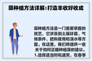 蒜种植方法详解:打造丰收好收成