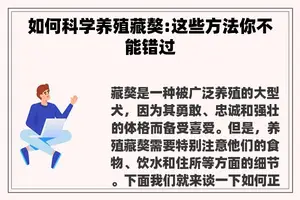 如何科学养殖藏獒:这些方法你不能错过