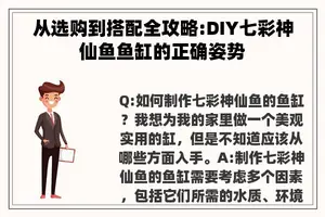 从选购到搭配全攻略:DIY七彩神仙鱼鱼缸的正确姿势
