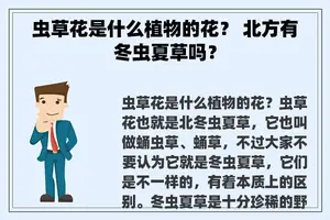 虫草花是什么植物的花？ 北方有冬虫夏草吗？